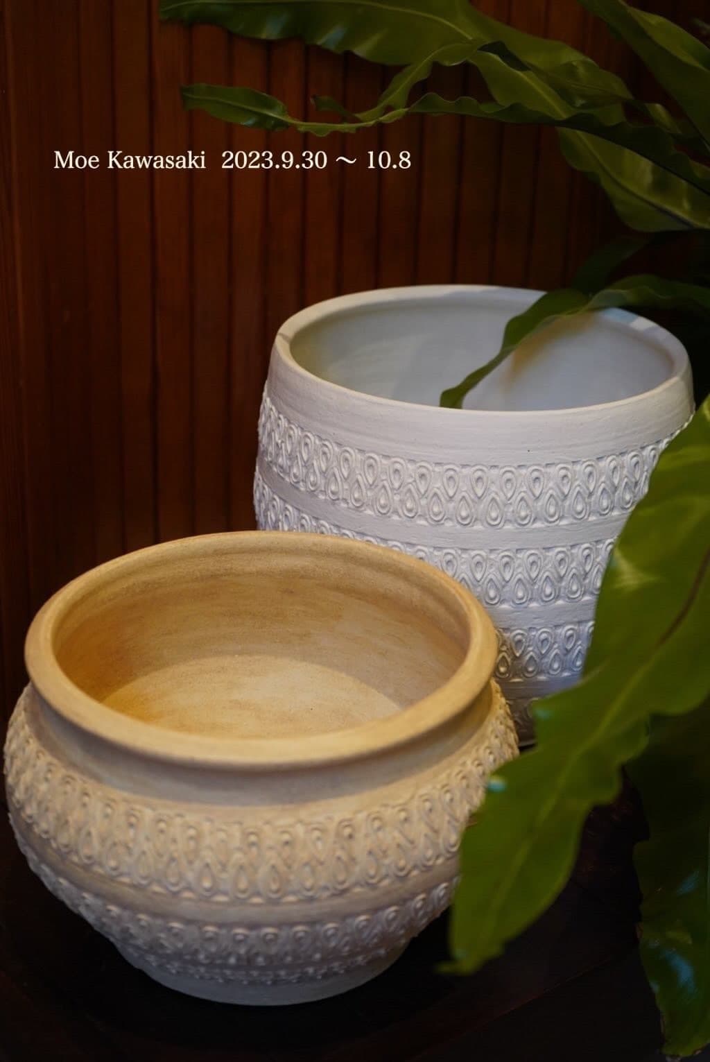 gallery alocasia